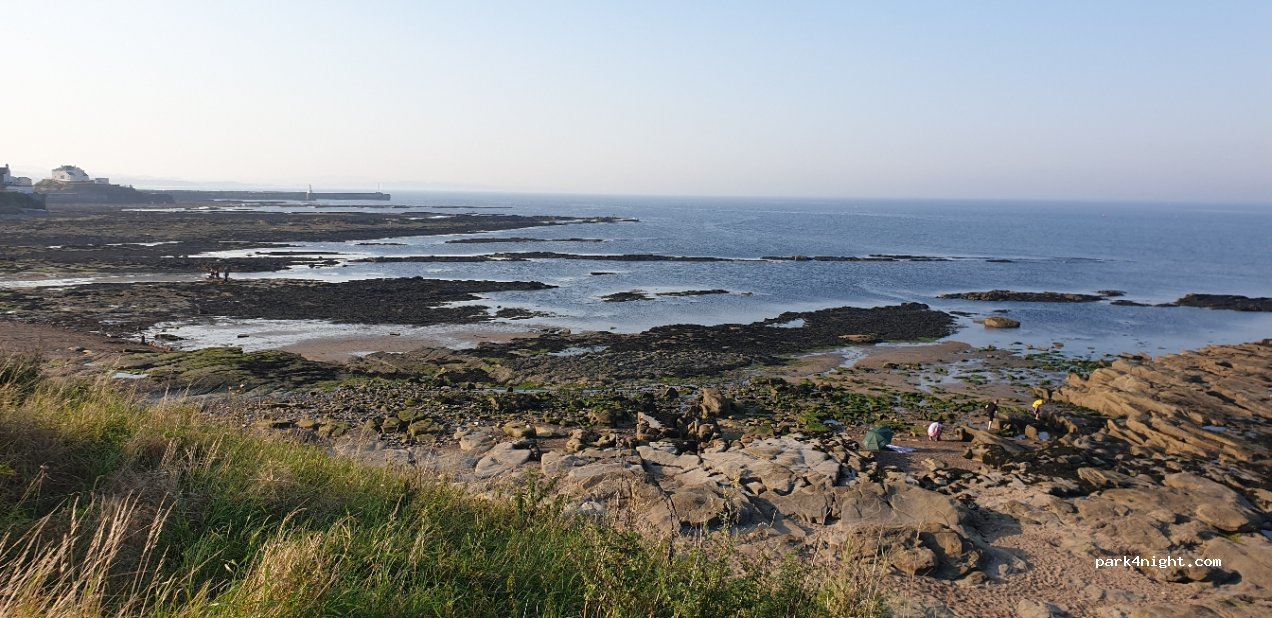 (NE65 0SB) Amble - Links Road — foto