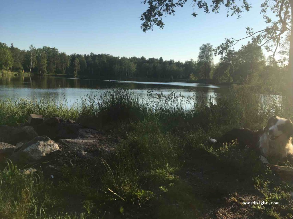 (3461) Plienkalni - Unnamed Road — foto