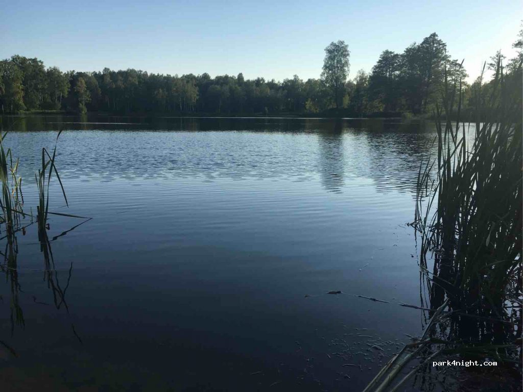 (3461) Plienkalni - Unnamed Road — foto 2