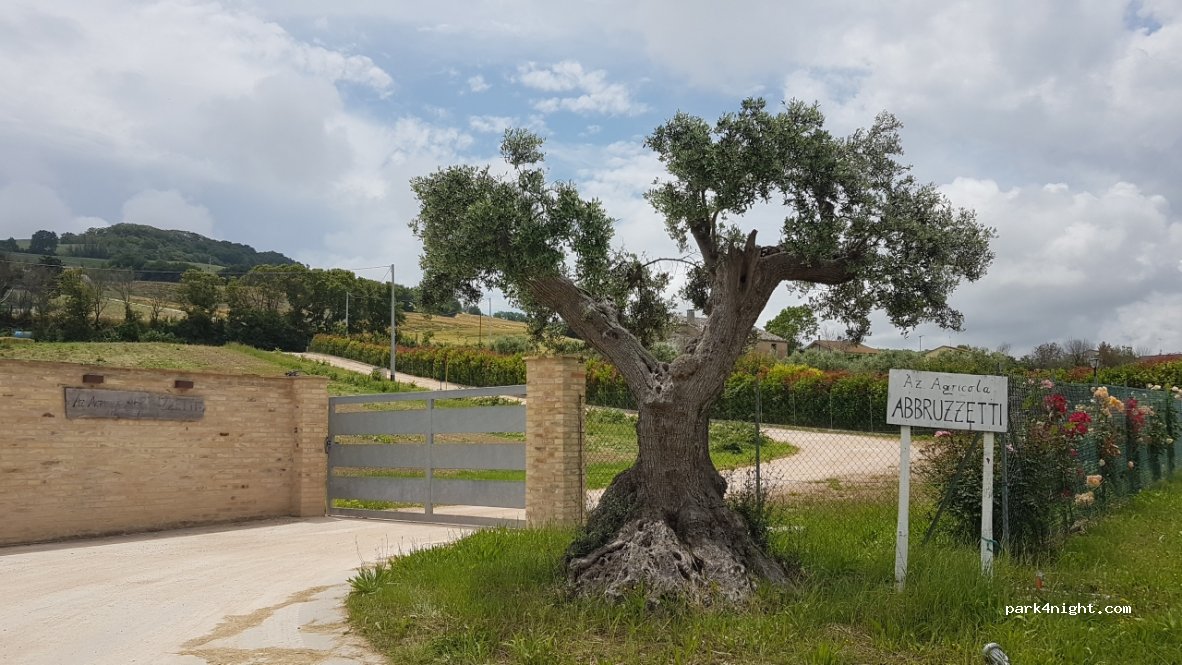 Agricampeggio Abbruzzetti — foto 2