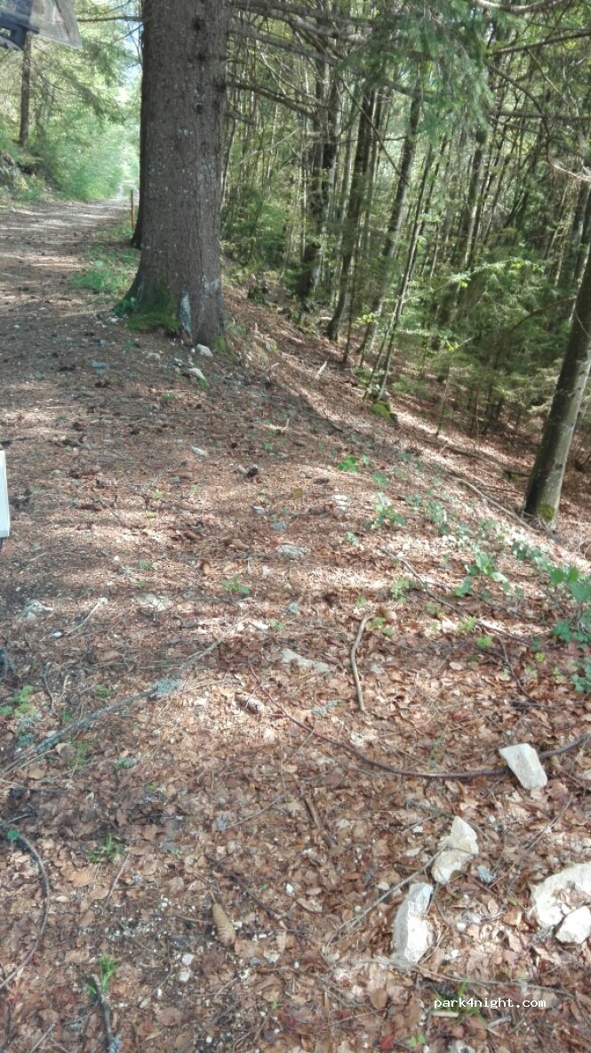 (01130) Belleydoux - Bellecombe — foto 2