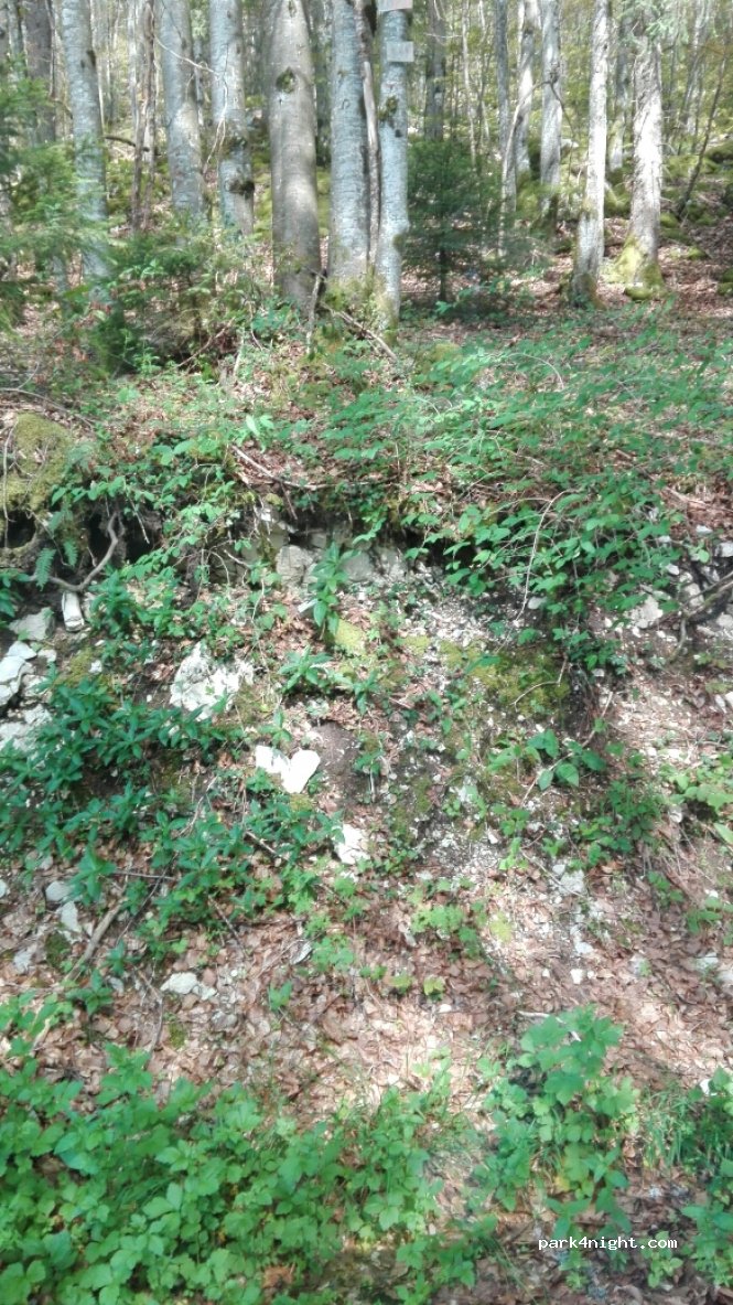 (01130) Belleydoux - Bellecombe — foto 3