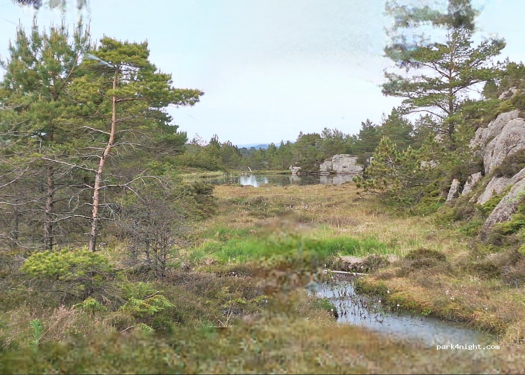 (5337)  - Turøyvegen — foto