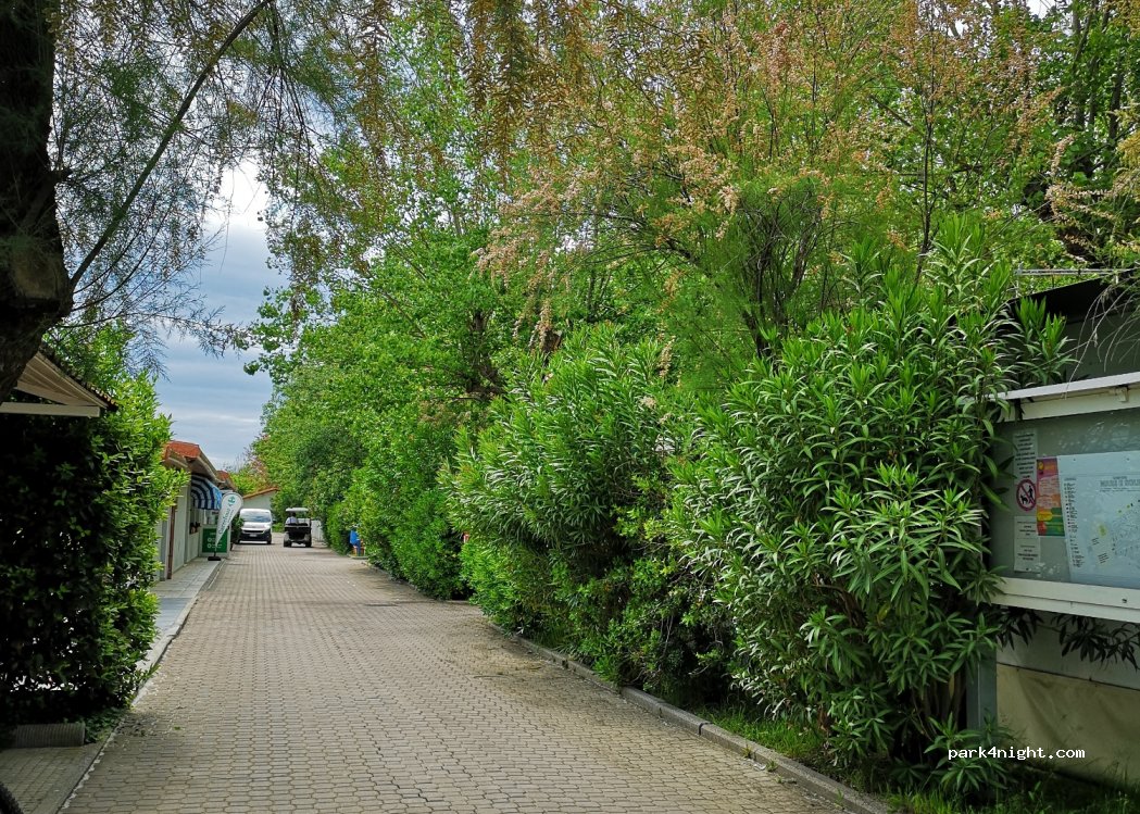 Camping Mare e Sole — foto 4