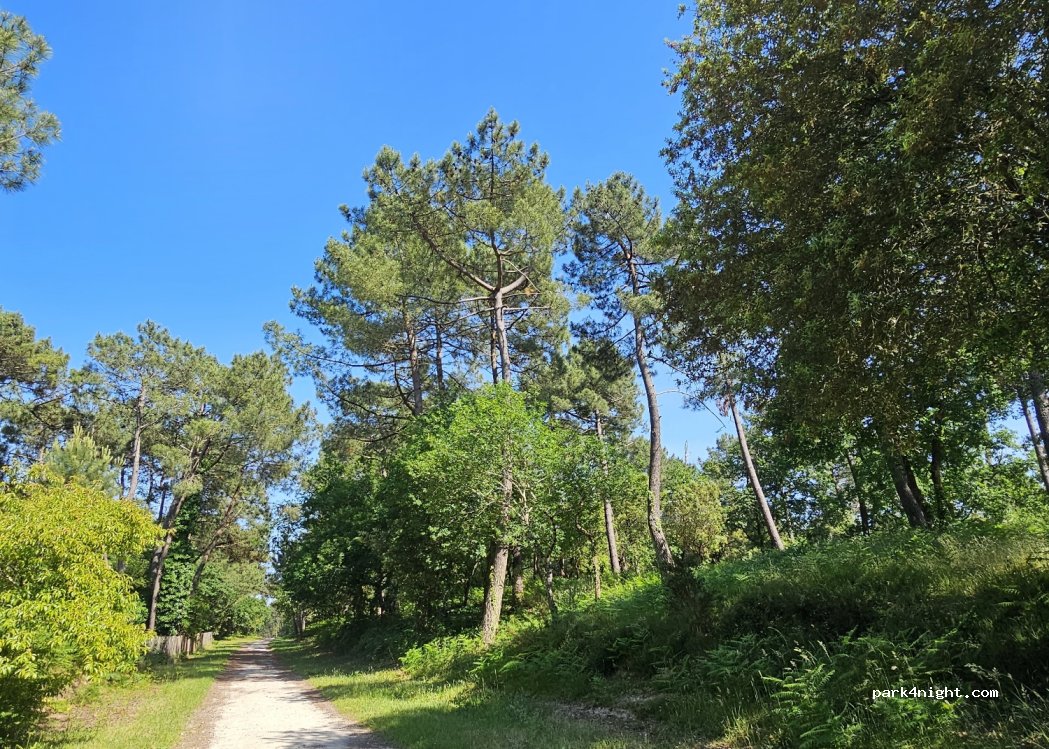 Camping Eden Villages - Palmyre Loisirs — foto 3