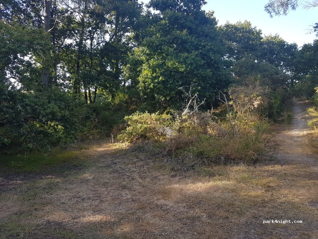 (44350) Guérande - 1 Route de Cogea — foto 2