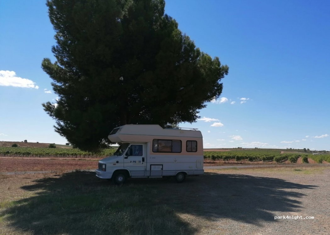 (13250) Daimiel - Unnamed Road — foto 3