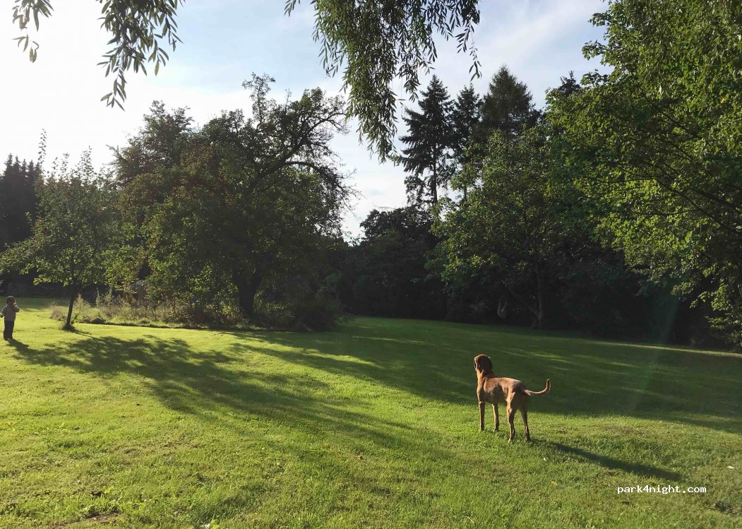 (21527) Kollow - 12 Am Genesungsheim — foto 2