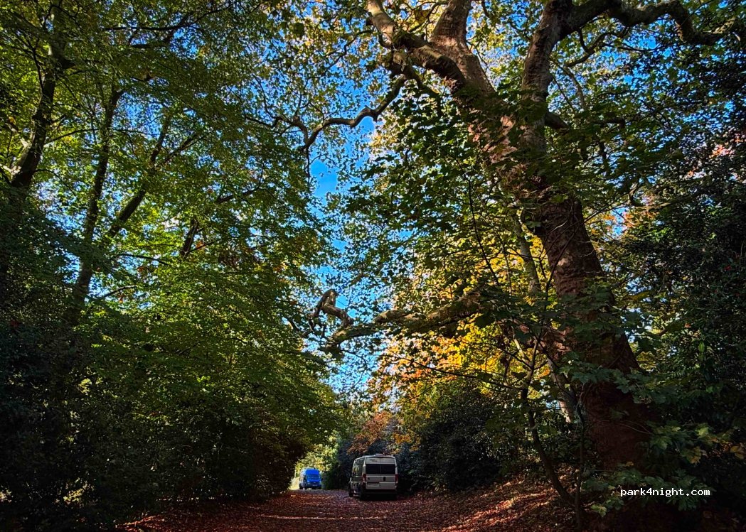 (TW20 0LG) Englefield Green - unamed road — foto 5
