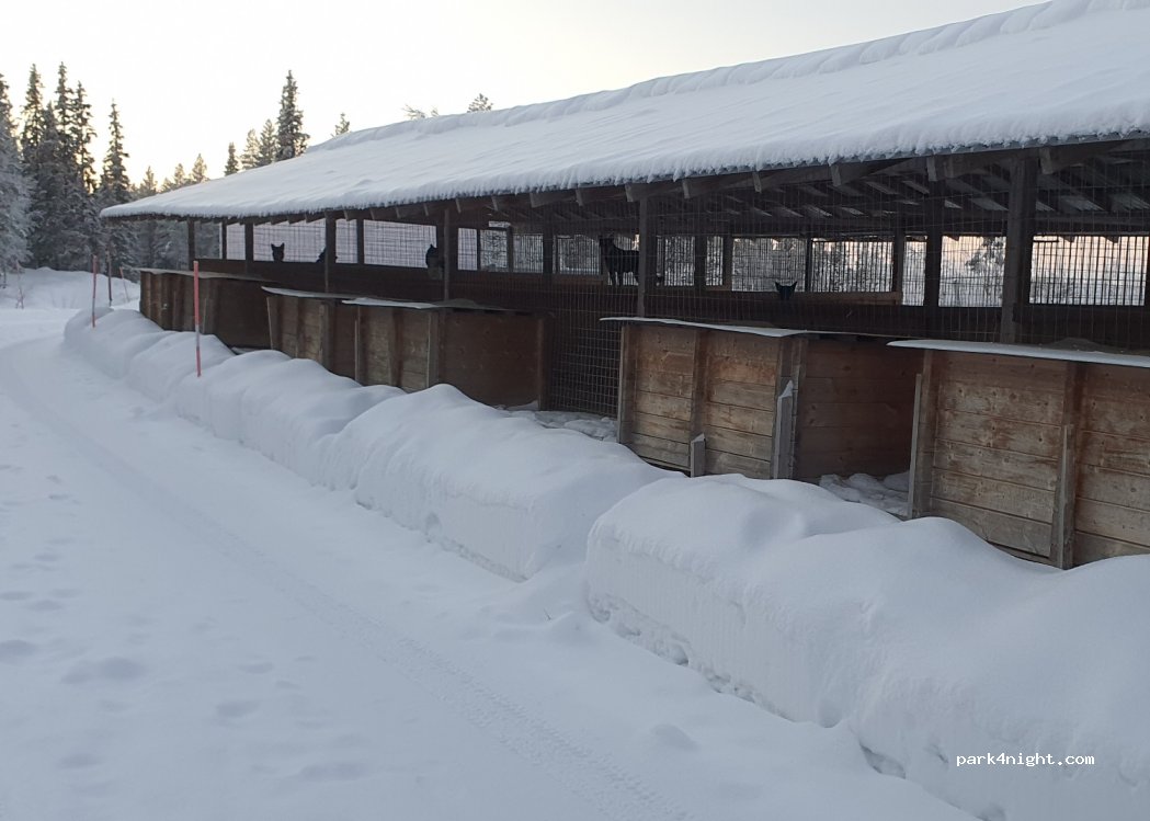 Husky Farm Veijejaur — foto 3