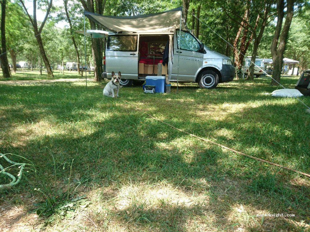 Camping les Platanes — foto 3