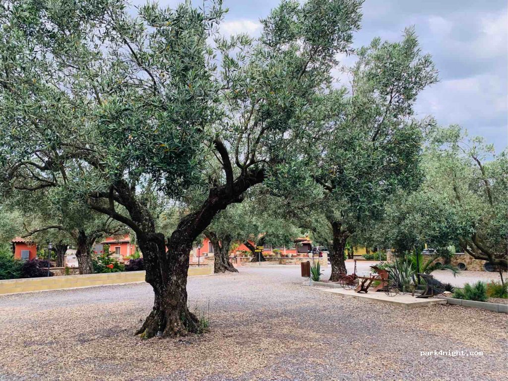 Agriturismo Feudo Delle — foto