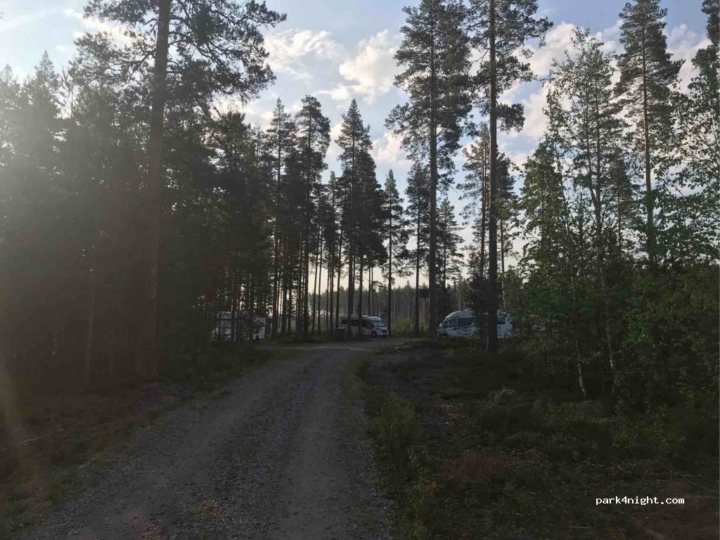 (770 12) Sunnansjö - Långvasselheden — foto 2