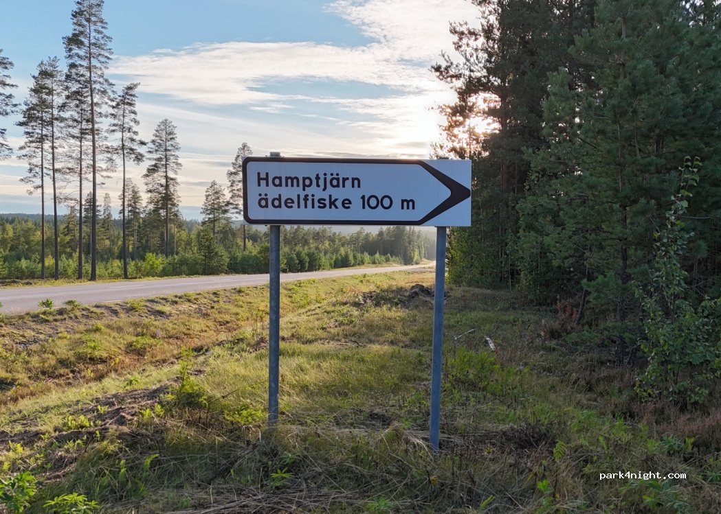 (770 12) Sunnansjö - Långvasselheden — foto 3