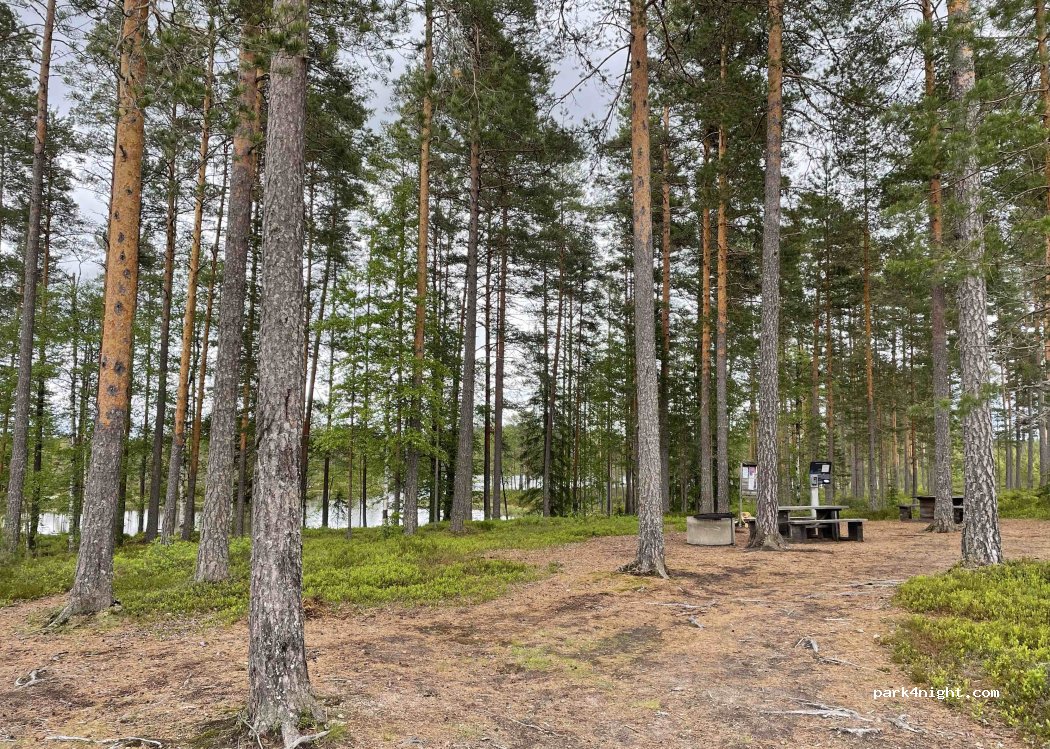 (770 12) Sunnansjö - Långvasselheden — foto 5