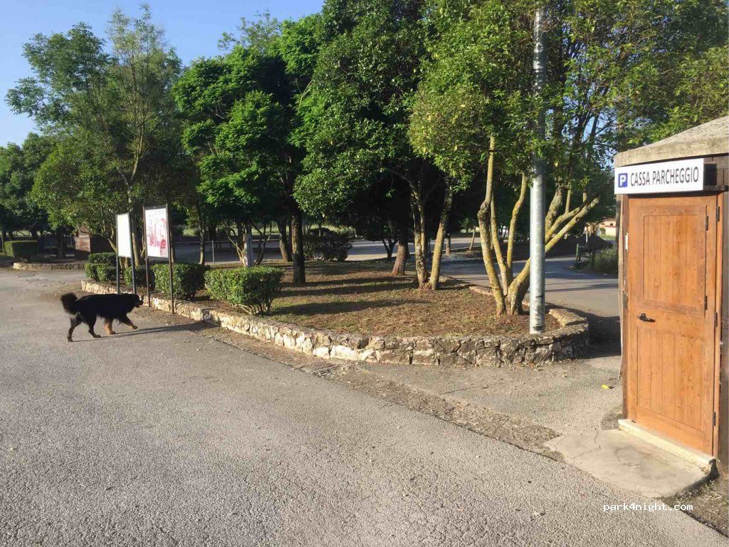 (84034) Padula - — foto 2