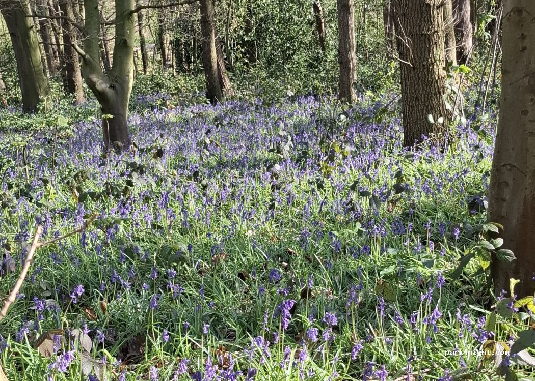 (DE75 7JQ) Heanor - The Field — foto 4