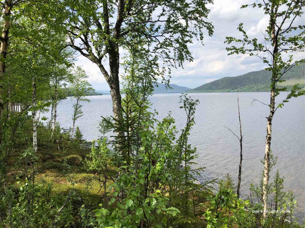 (833 98) Gäddede - Unnamed Road — foto 3