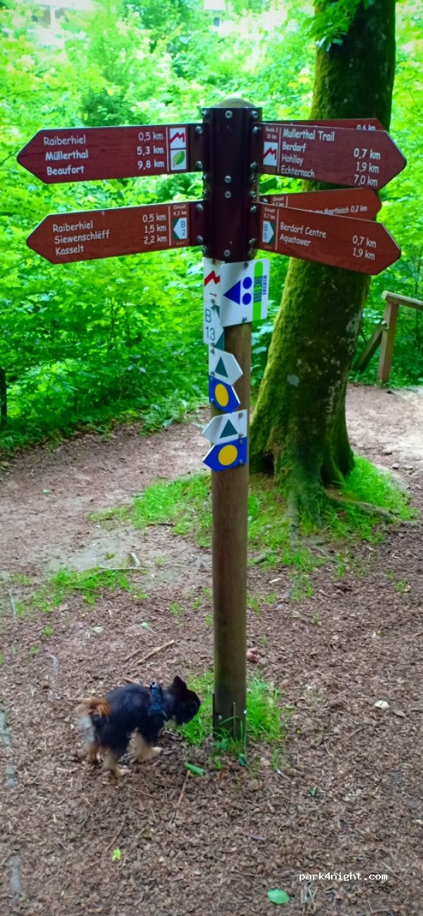 (6552) Berdorf - 1 Beim Maartbesch — foto 3