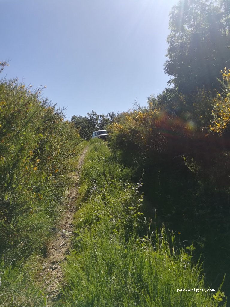 (11580) Belcastel-et-Buc - D129 — foto