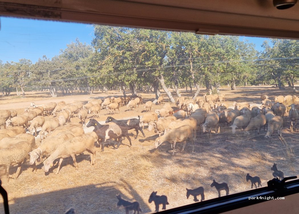 (39400) Pazarlı - Eski İstanbul Kırklareli Yolu — foto 5