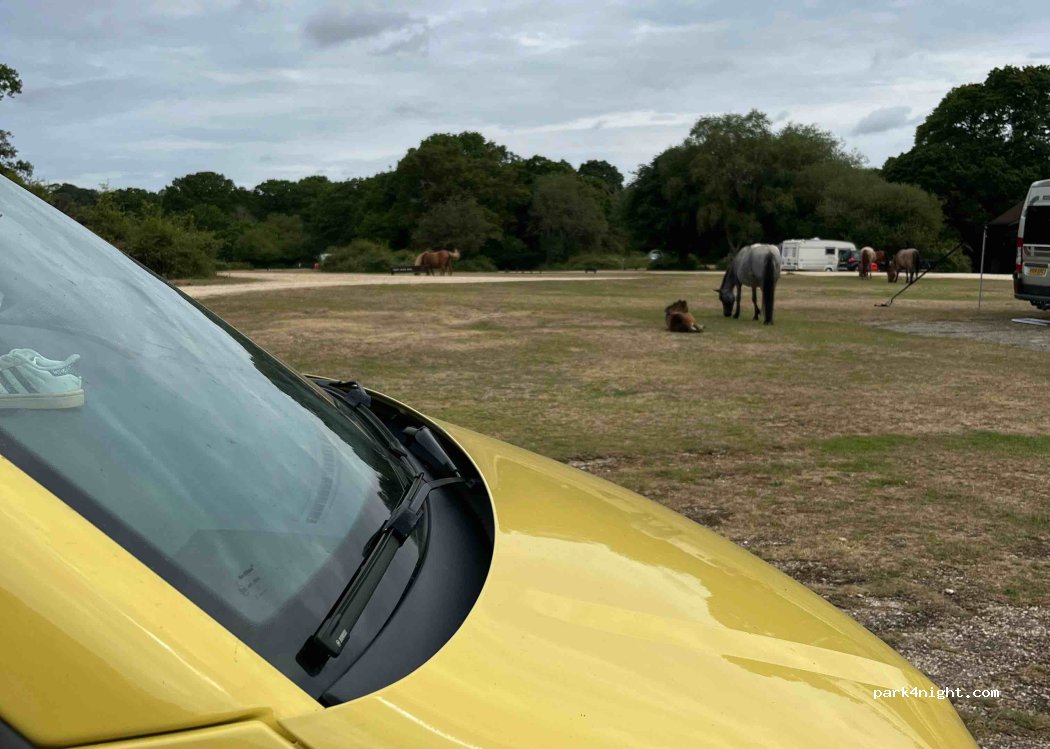 Ashurst Campsite — foto 3