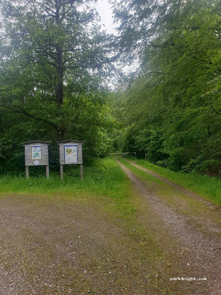 (451 95) Uddevalla - Unnamed Road — foto