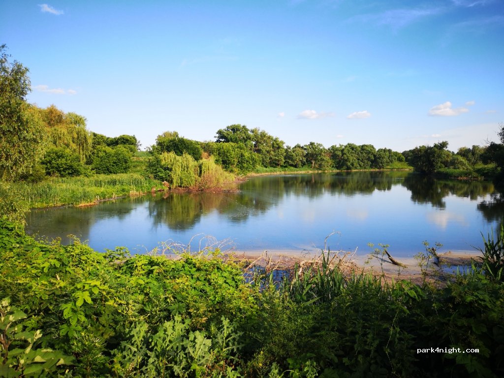 (17584) Lynovytsya - Unnamed Road — foto 3