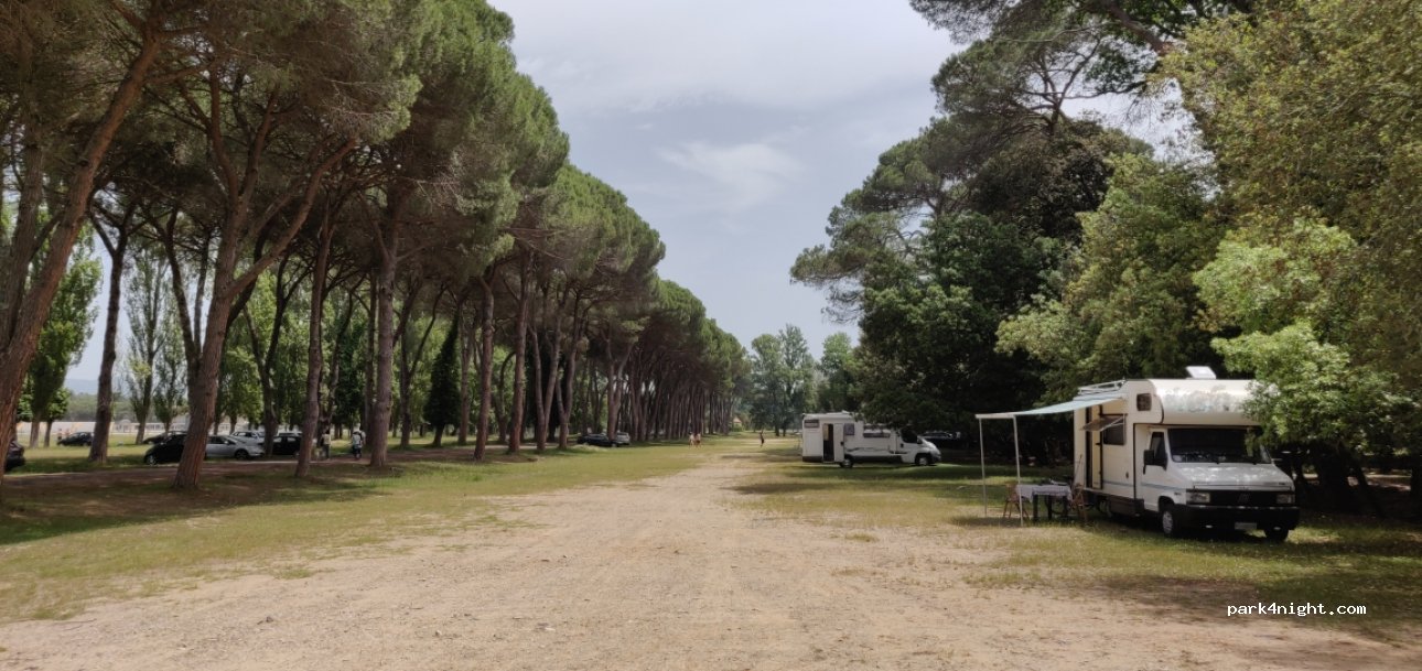 (56122) Pisa - — foto