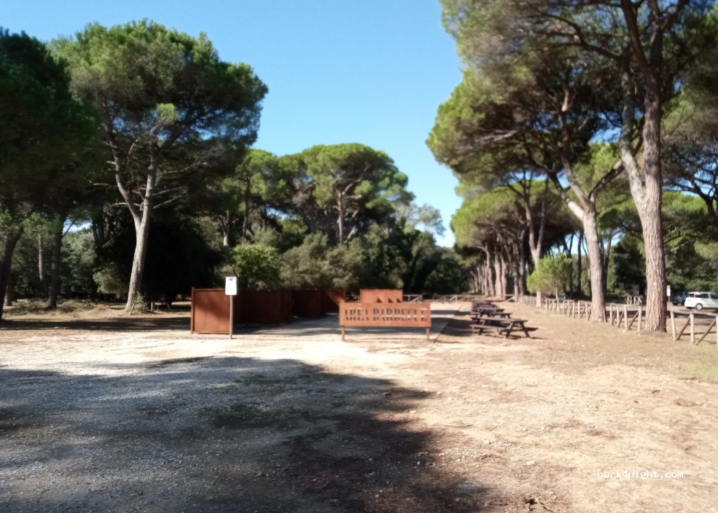 (56122) Pisa - — foto 3