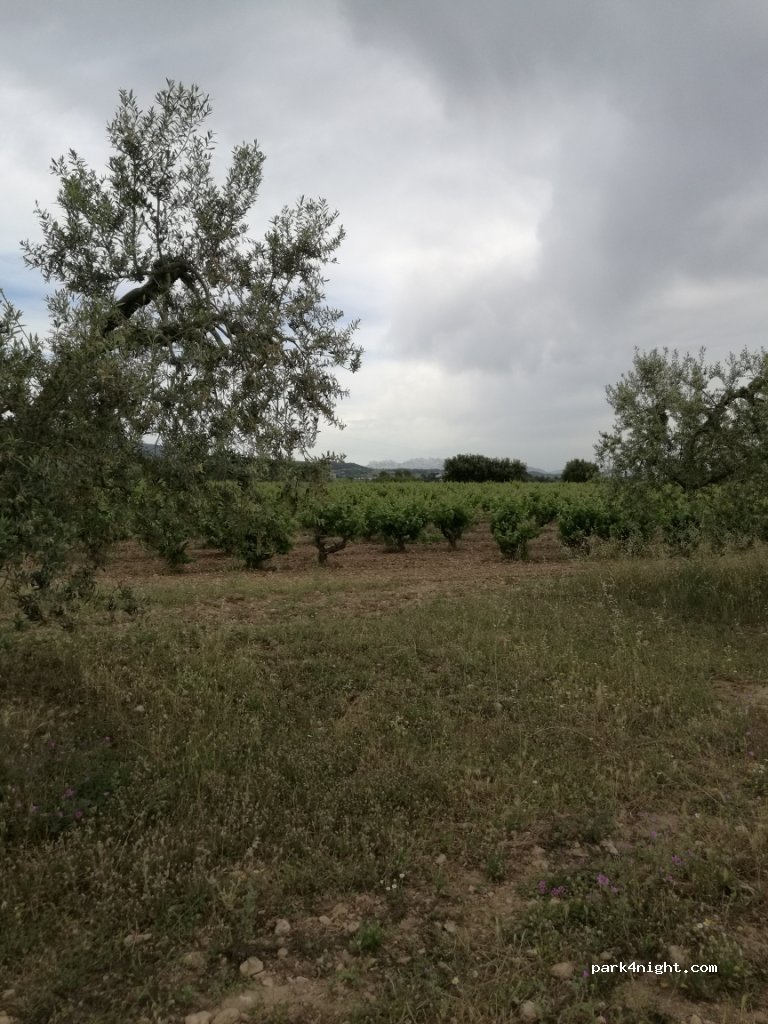 (08731) Sant Martí Sarroca - 2 Barri de les Cantarelles — foto 2
