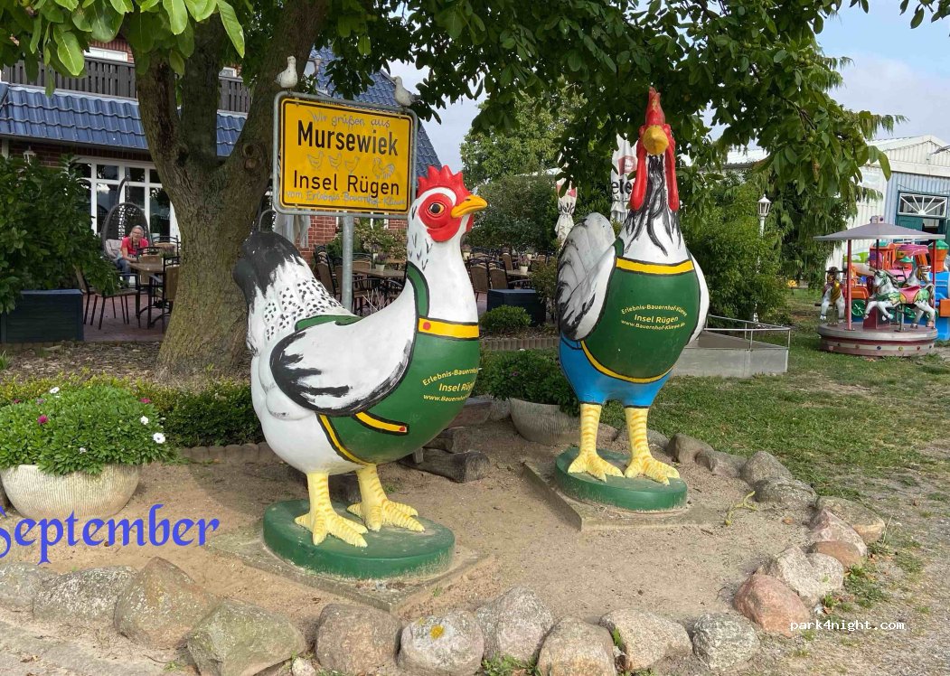 (18569) Ummanz - Mursewiek — foto 4