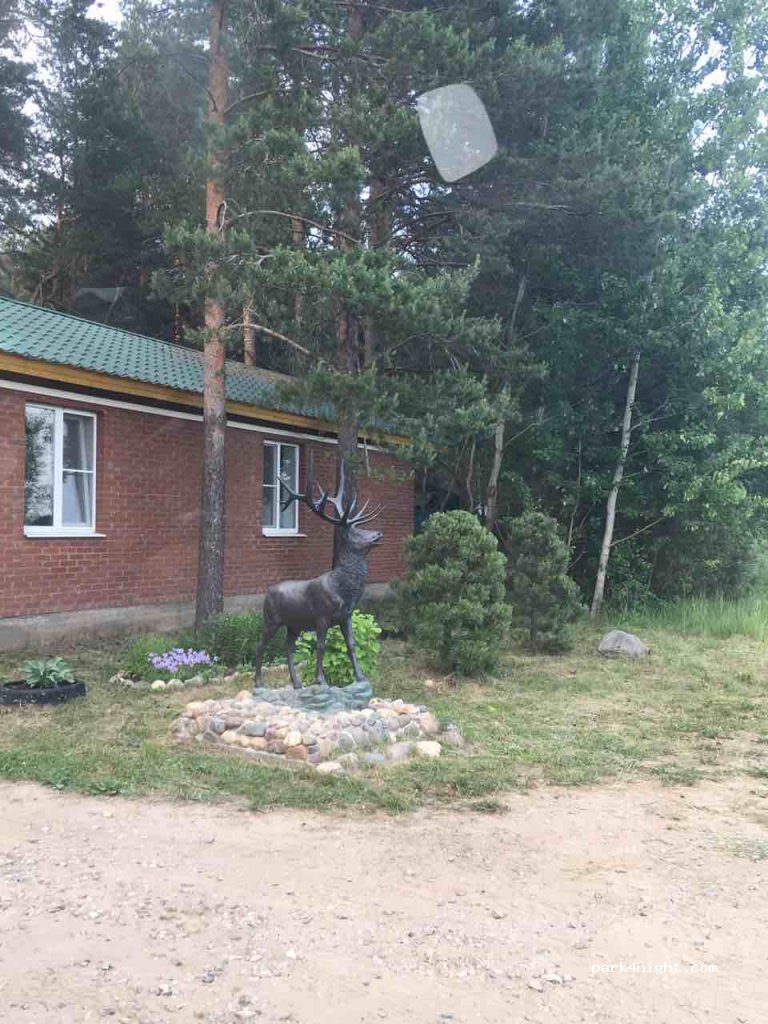 Camping Oleniy Bor — foto 3