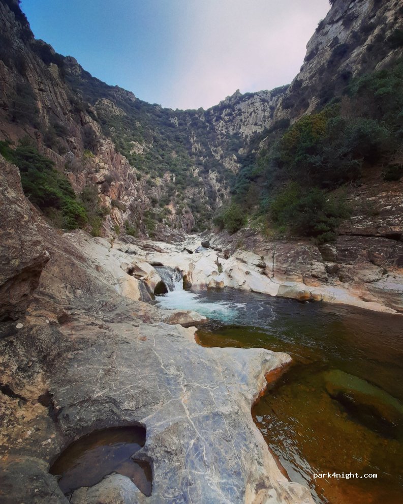 (11330) Termes - D40 — foto 2
