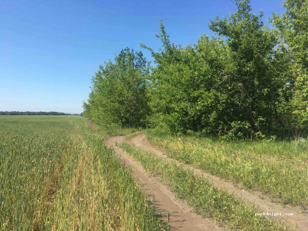 (446087) Troyekurovka - Unnamed Road — foto