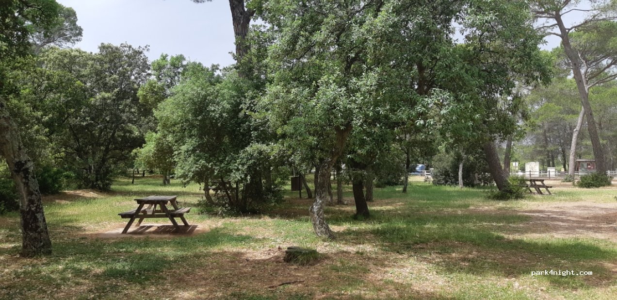 (83480) Puget-sur-Argens - 1 Avenue de la Lieutenante — foto 2