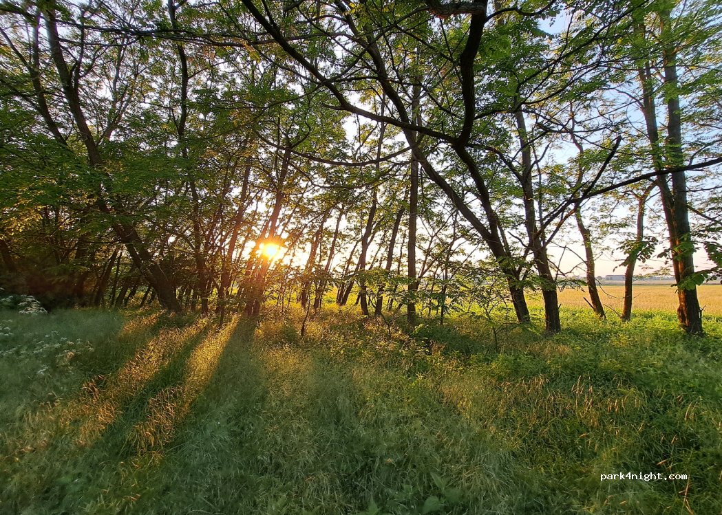 (9936) Kisrákos - Unnamed Road — foto