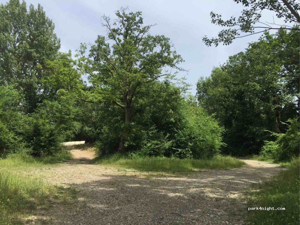 (57020) Bibbona - Strada Provinciale dei Quattro Comuni / Unnamed Road — foto