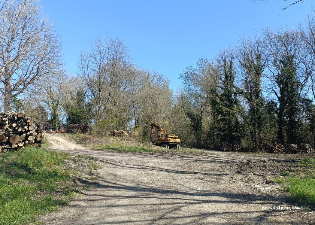 (57020) Bibbona - Strada Provinciale dei Quattro Comuni / Unnamed Road — foto 4
