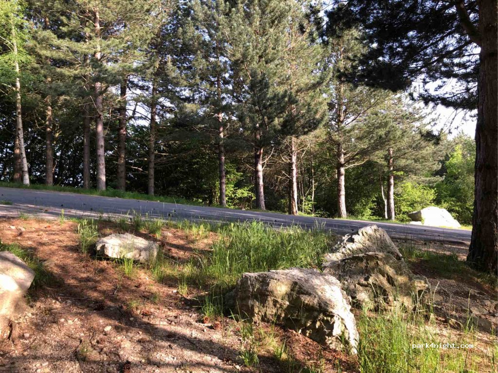 (12070) Alto - Strada Provinciale 216 — foto