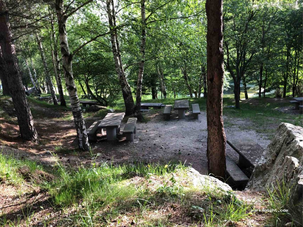 (12070) Alto - Strada Provinciale 216 — foto 2