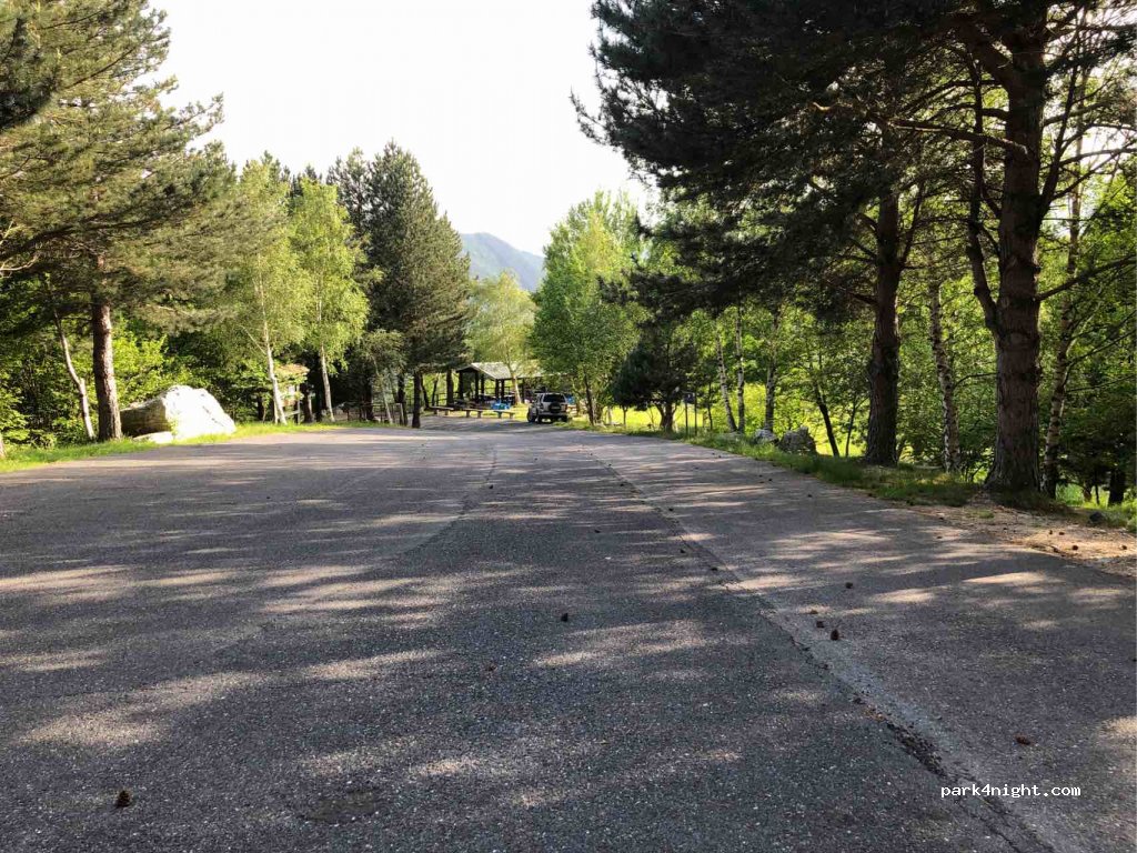 (12070) Alto - Strada Provinciale 216 — foto 3