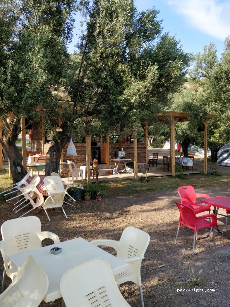 Camping on Neverland — foto 3