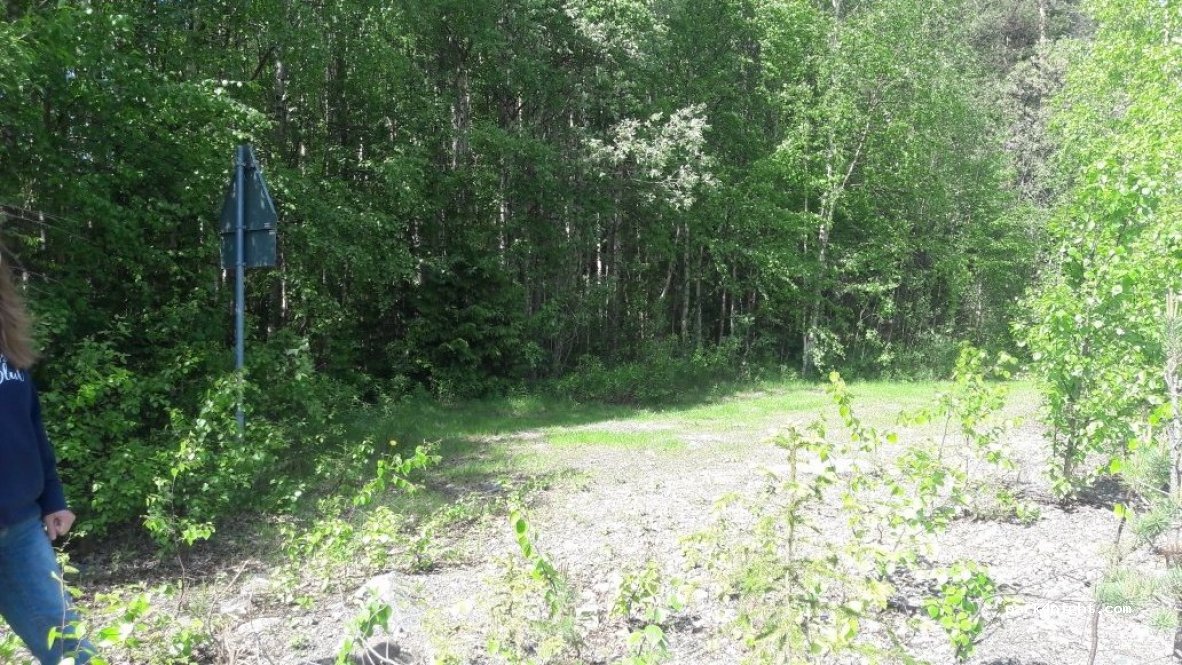 (830 80) Tåsjöedet - Unnamed Road — foto 3