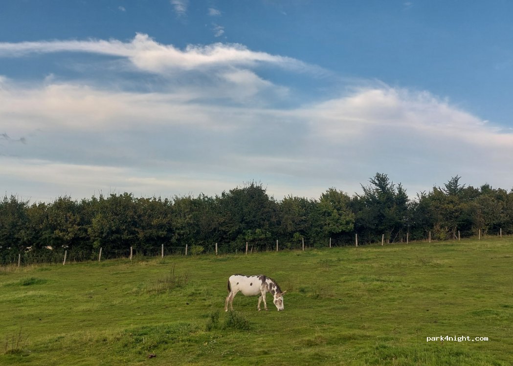 Freshwinds camping — foto 3