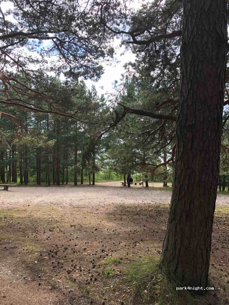 (86003) Treimani - unamed road — foto