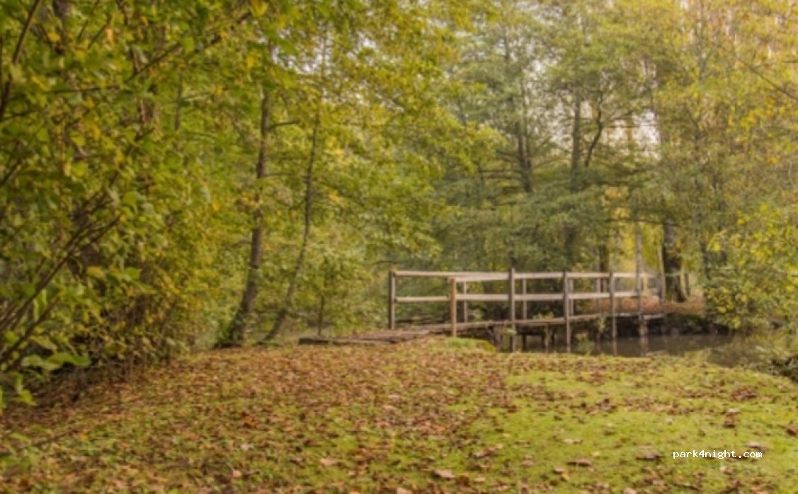 (79340) Ménigoute - Unnamed Road / Étang de Bois-Pouvreau — foto