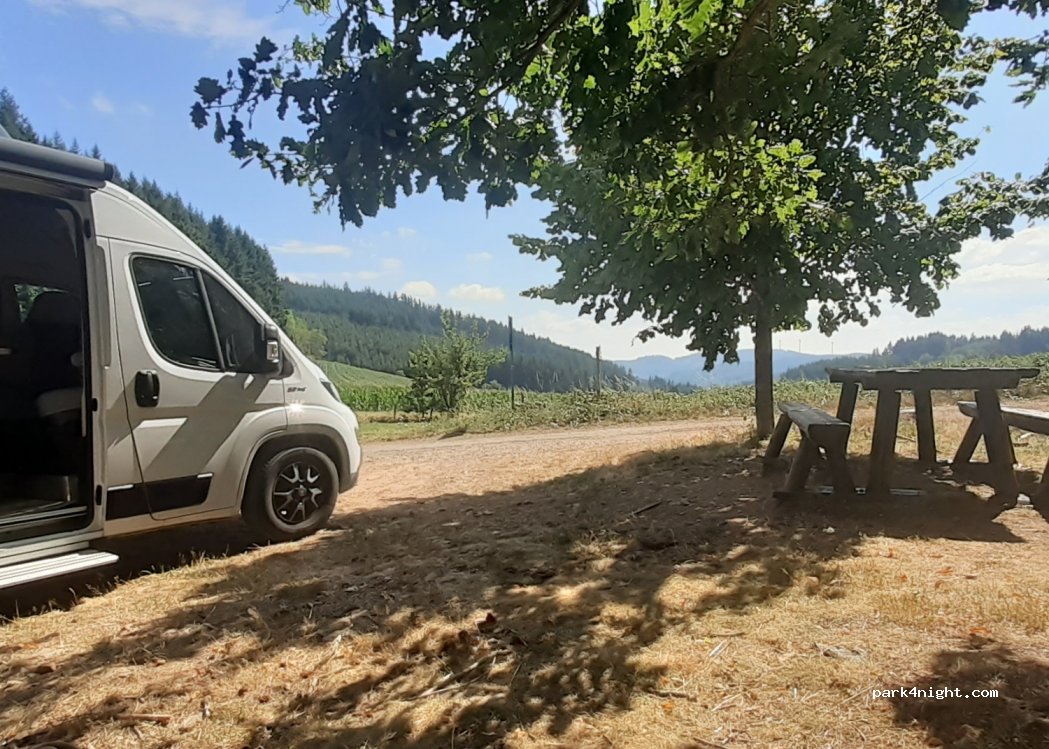 (69870) Saint-Appolinaire - Le Gonnet — foto