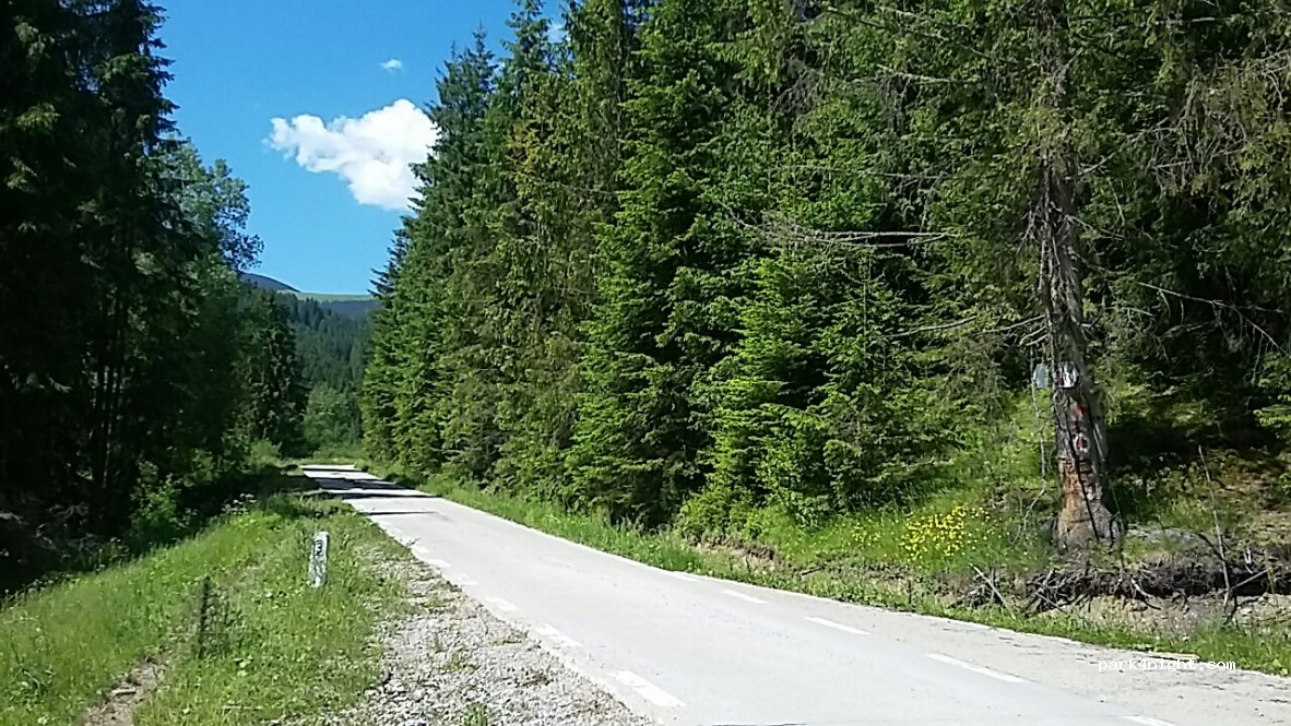 (727120) Ciocănești - Unnamed Road — foto
