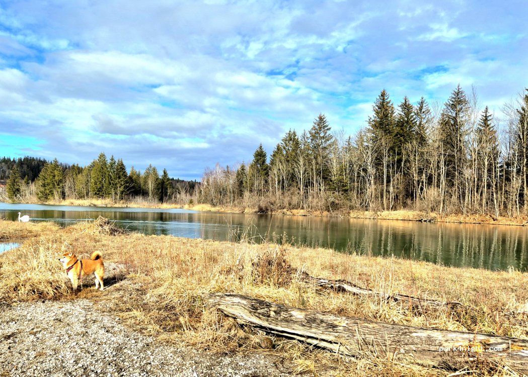 Wohnmobilstellplatz an der Isar P4 — foto 5